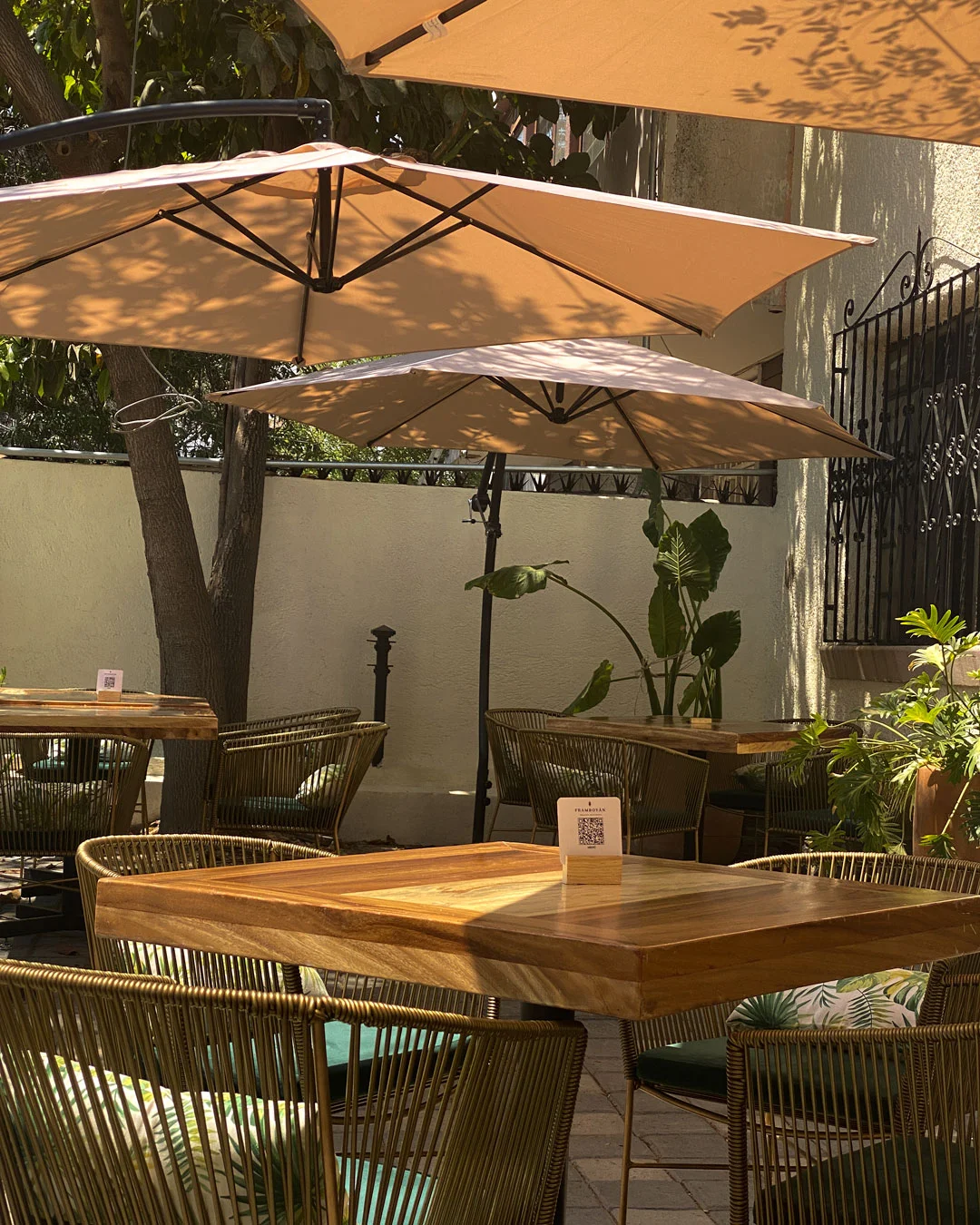 Social Media Fotos und Videos für ein Restaurant